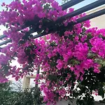 Akyarlarda Havuzlu Lueks Bodrum
