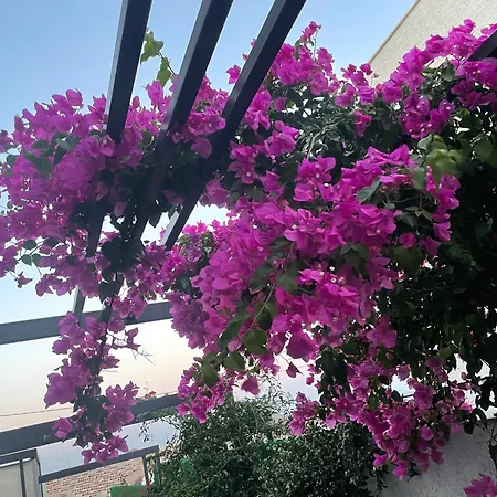 Villa Akyarlarda Lueks Sueit Bodrum
