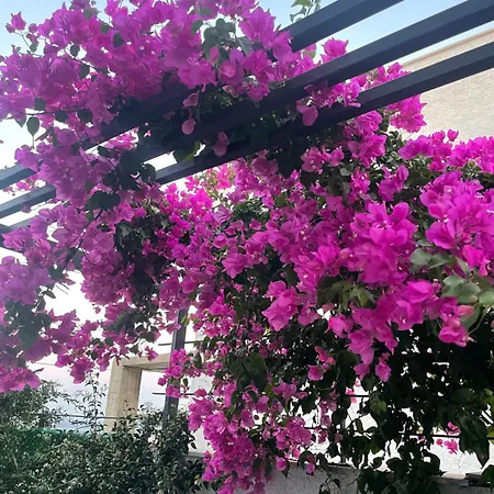 Akyarlarda Lueks Sueit Bodrum